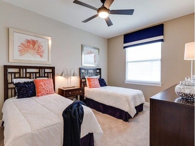 Hunter Douglas Dealer Image